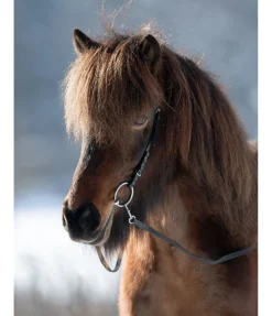 Têtière anatomique Gilja