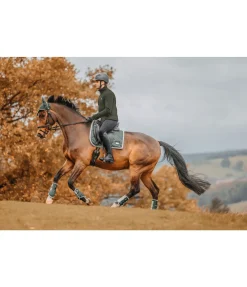 Veste polaire homme Phoenix